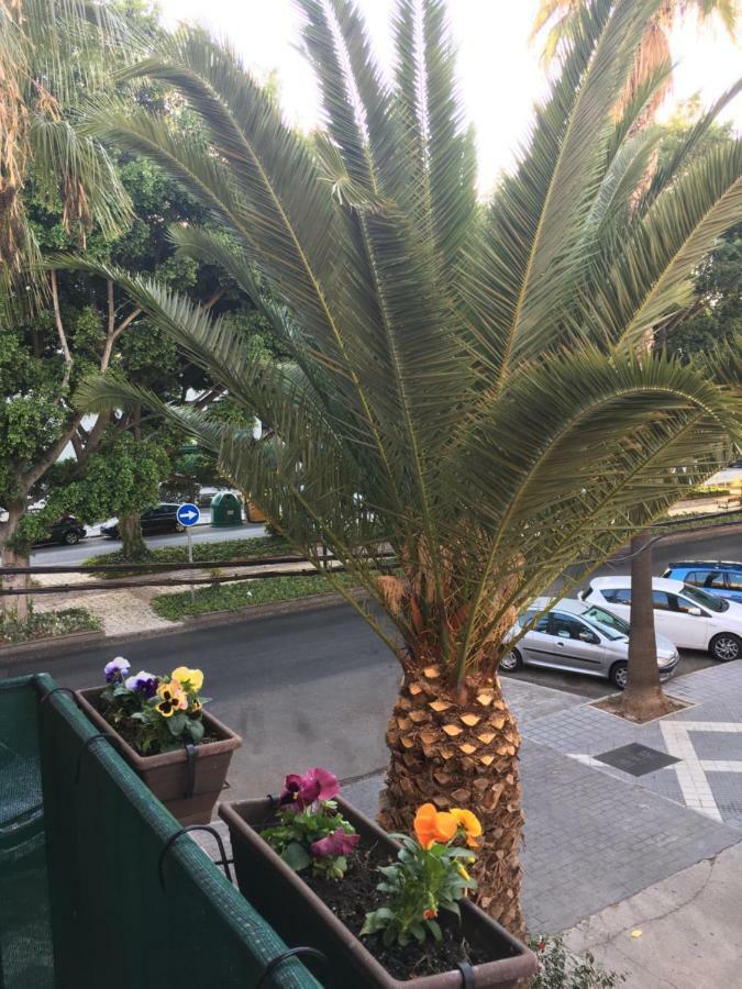 Apartamento New & Parking Alcazaba
